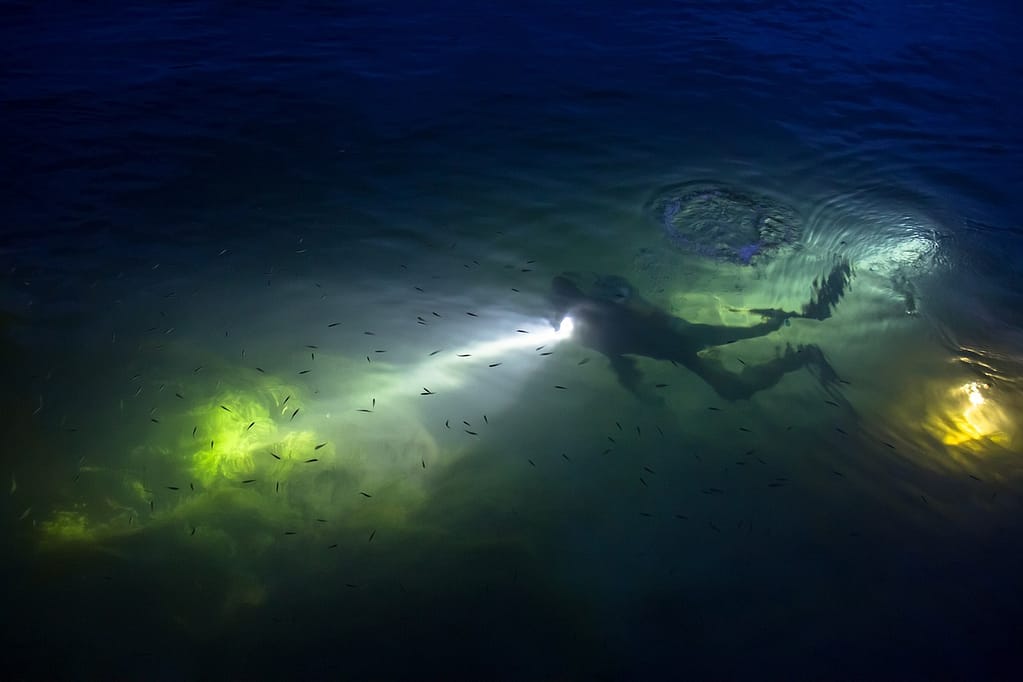 A diver using a flashlight underwater at night, illuminating fish and creating a glow in dark waters.