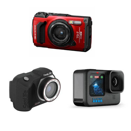 Compact Cameras for Underwater Photography showing the Olympus Tough TG-7, SeaLife Micro 3.0 and GoPro HERO13 Black